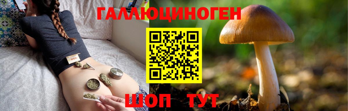 Галлюциногенные грибы Magic Shrooms  Вход с VPN  Минусинск 